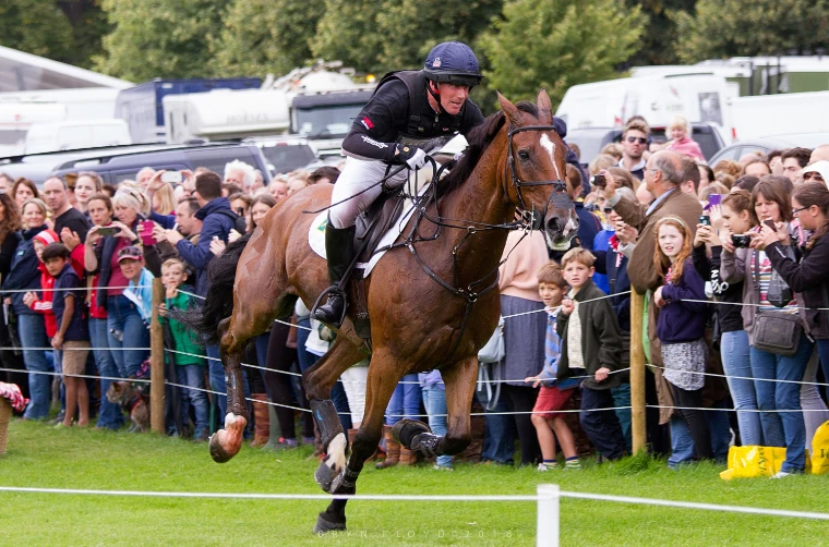 A rider gallops a chestnut horse past a dense crowd of spectators lining the rope (2016).