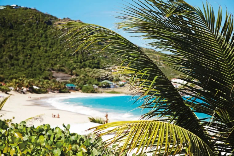 Palm fronds over the white sand and turquoise water of Flamands beach on Saint Barthélemy, the island of Les Voiles de Saint-Barth, St. Barthélemy, a mid-April engagement in the season calendar of The Mansa Court