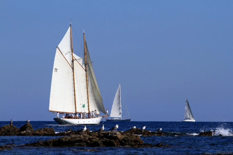 The gaff schooner Lelantina sails past rocks lined with gulls off the Cap de Saint-Tropez, with two other yachts racing behind (2014).