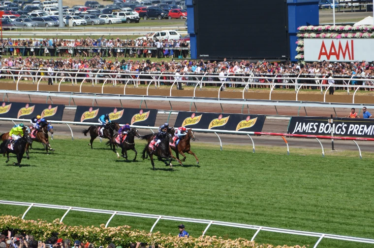 The Melbourne Cup field in the last hundred metres of the Flemington straight, past sponsor boards and a crowd along the rails (2013).