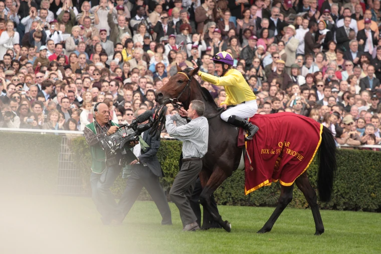 The winning horse in a red Prix de l’Arc de Triomphe rug, its jockey in yellow silks, led back past cameramen in front of a packed grandstand (2009).