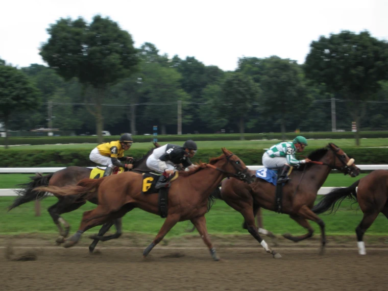 Three jockeys urge their horses along the dirt track with the green turf course and trees behind (2005). Saratoga Race Course, Saratoga Springs, New York, shown for Saratoga Opening Weekend in the season calendar of The Mansa Court