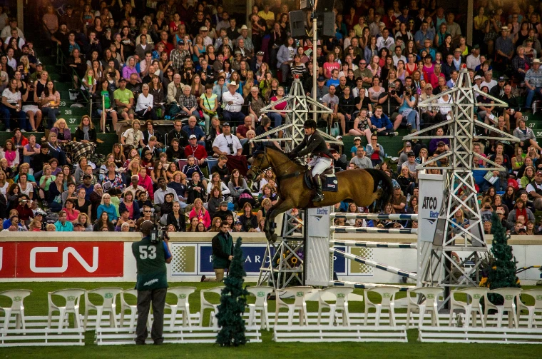 A horse clears a tall fence framed by pylon-shaped wings before a packed grandstand (2012).