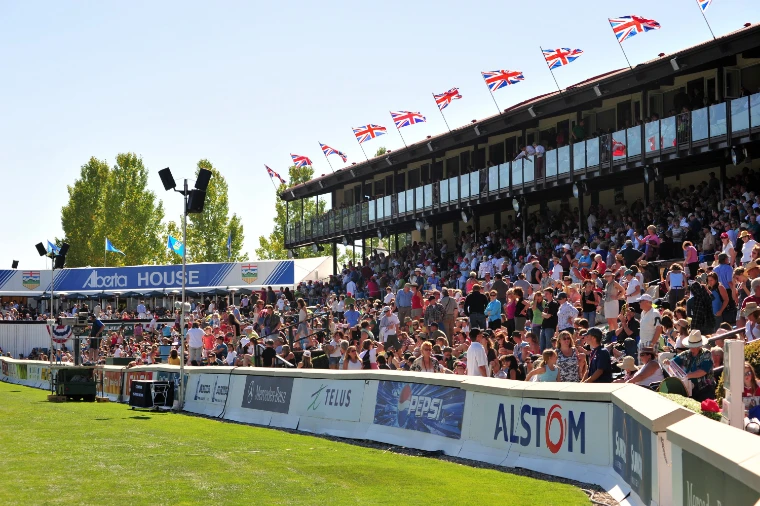 A crowded grandstand under a row of Union flags looks over the grass ring on a sunny day (2009).