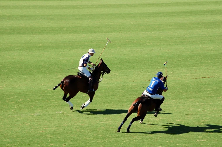 Juan Martín Nero and Francisco Bensadón galloping across the green for the ball in an Argentine Open match (2012).