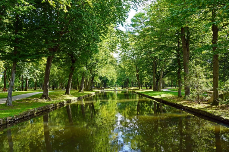 A long, still canal in the Hofgarten reflecting the rows of tall green trees that line both banks (2020).