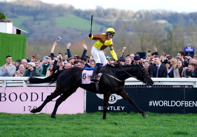 A winning jockey standing in the irons before the rail after the Gold Cup at The Cheltenham Festival, Gloucestershire, an engagement in the season calendar of The Mansa Court