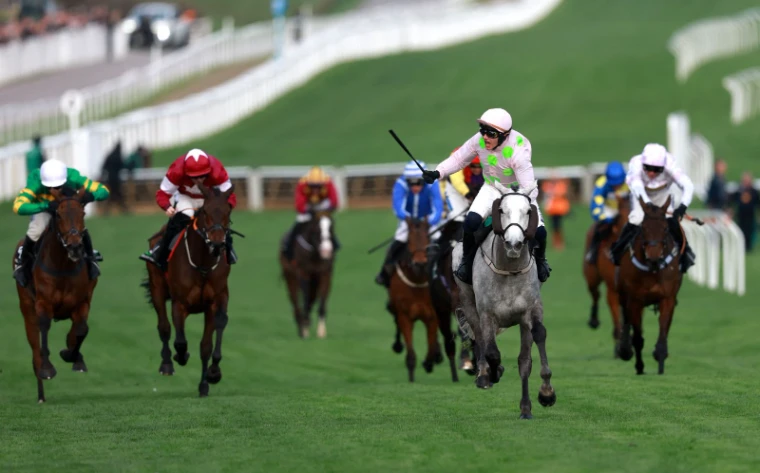 A grey winning up the Cheltenham hill, the jockey’s whip raised as the field chases, at The Cheltenham Festival, an engagement in the season calendar of The Mansa Court