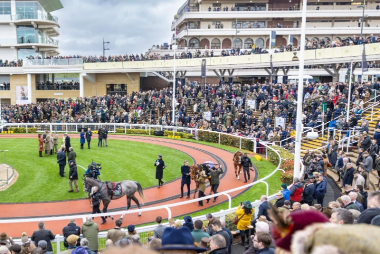 Runners walking the parade ring before racing at The Cheltenham Festival, the crowd in tweed and country attire in the enclosures around them, an engagement in the season calendar of The Mansa Court