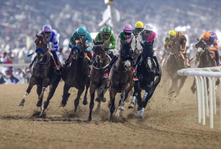 The field kicking up sand round the turn on the dirt under floodlight at the Dubai World Cup, Meydan Racecourse, an engagement in the season calendar of The Mansa Court
