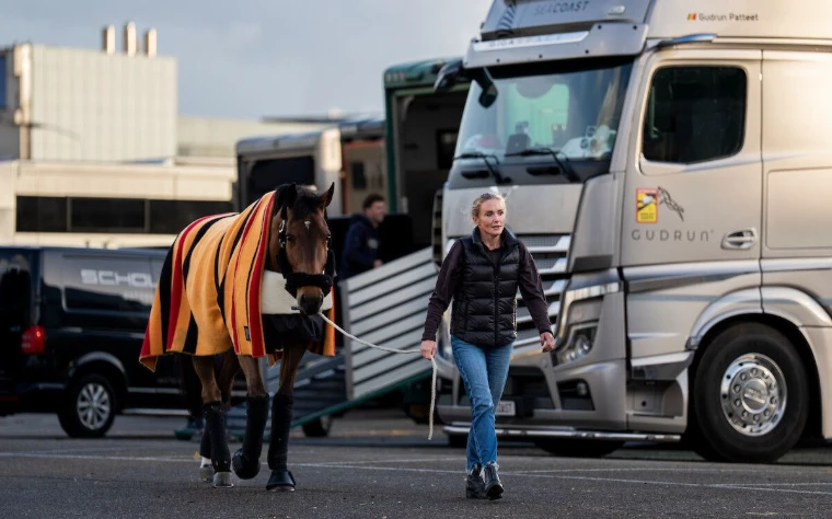 A groom walking a rugged horse through the lorry park at The Dutch Masters, Indoor Brabant Horse Show, ’s-Hertogenbosch, an engagement in the season calendar of The Mansa Court