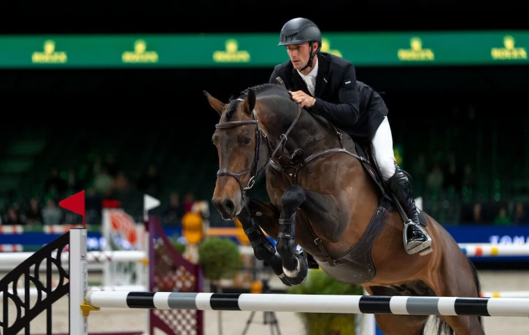 A bay clearing the last fence before the Rolex boards at The Dutch Masters, the Indoor Brabant Horse Show in ’s-Hertogenbosch, a March engagement in the season calendar of The Mansa Court