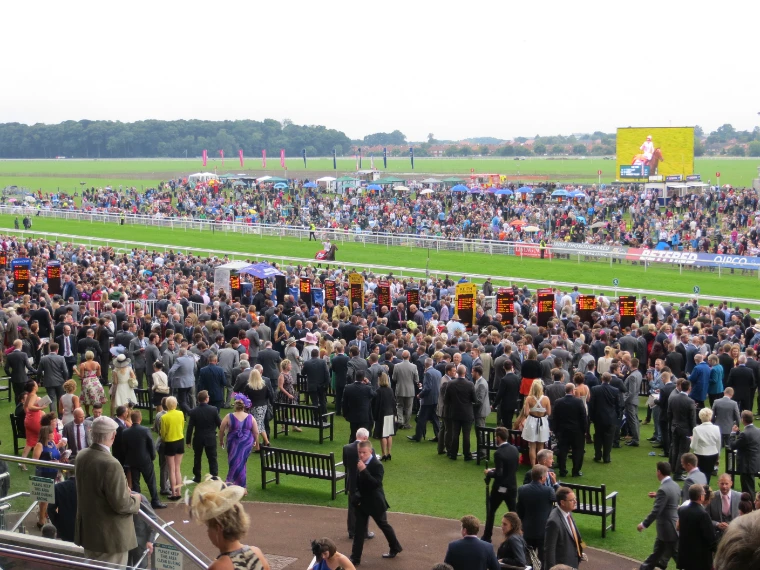 Large crowds fill the lawns around the parade ring, with the racecourse and a packed far enclosure behind (2013).