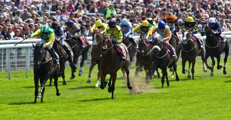 A large field of racehorses thunders up the green straight before a dense crowd along the rail (2010). York Racecourse (the Knavesmire), York, North Yorkshire, shown for The Ebor Festival in the season calendar of The Mansa Court