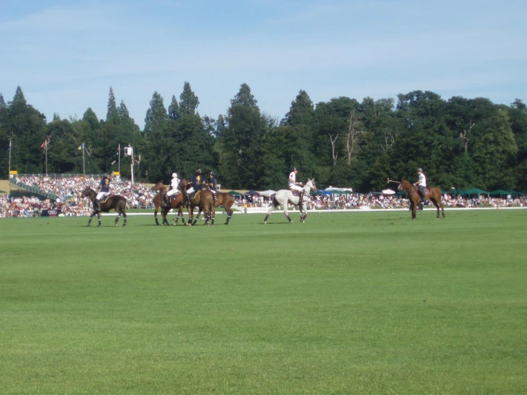 Polo players on their ponies gather on the wide green field in front of a crowd lining the far side of the ground and tall trees under a blue sky (2007).