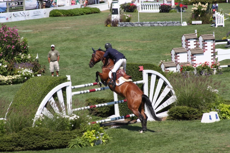 A rider on a bay horse clears a white fan-shaped fence set among flower beds and clipped hedges in a grass show-jumping ring on a sunny day (2008).