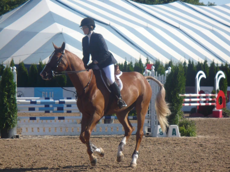 A rider in a dark jacket canters a chestnut horse across a sand ring in front of a blue-and-white striped marquee (2007).