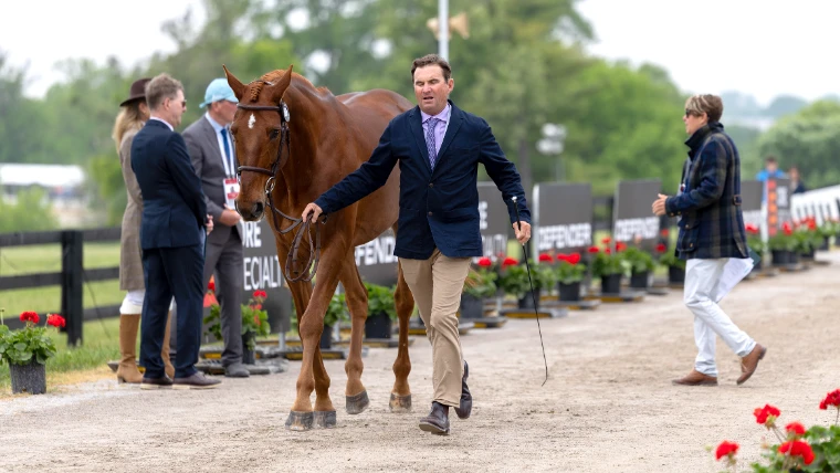 A rider trotting a chestnut up the lane before the ground jury, past beds of red geraniums, at the Kentucky Three-Day Event, Lexington, a late-April engagement in the season calendar of The Mansa Court