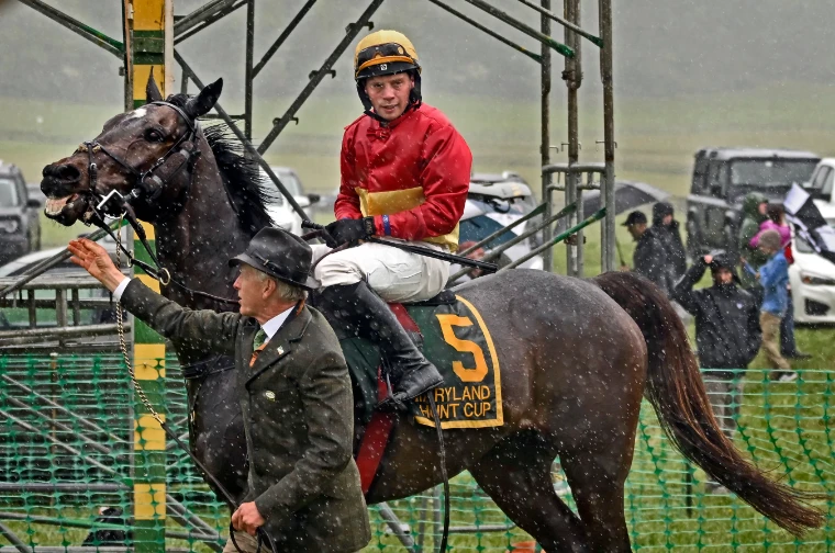 A horse and jockey in red and gold led in through driving rain after the race at The Maryland Hunt Cup, Glyndon, a late-April engagement in the season calendar of The Mansa Court