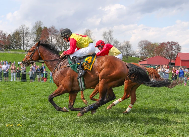 Two horses racing neck and neck across the turf past the crowd at the rail at The Maryland Hunt Cup, Glyndon, a late-April engagement in the season calendar of The Mansa Court