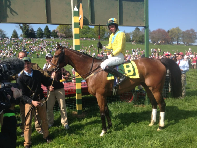 The 2013 winner led in beneath the finish board before the hillside crowd at The Maryland Hunt Cup, Glyndon, a late-April engagement in the season calendar of The Mansa Court