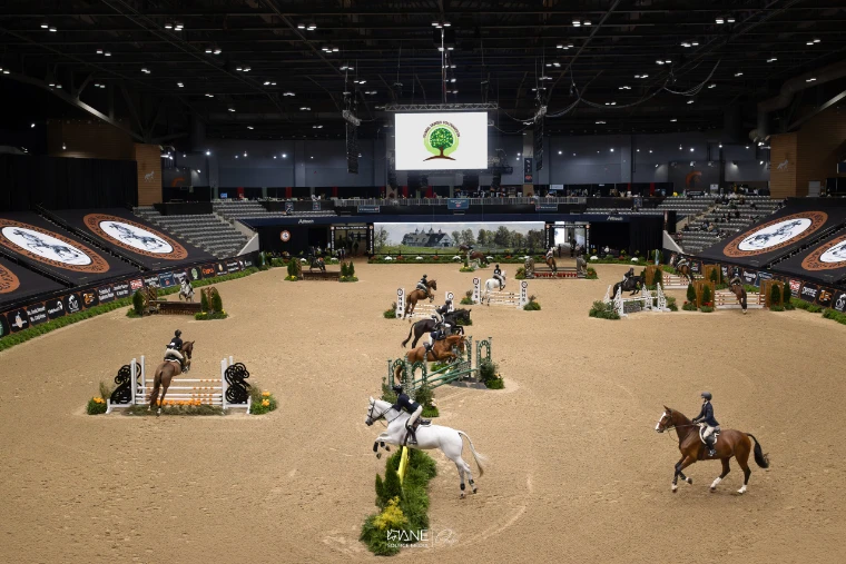 Riders schooling over coloured fences in the National Horse Show’s indoor arena under lights, the stands and banners around the ring (2025).