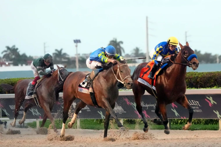 Two horses driving to the wire down the Gulfstream Park stretch in the Pegasus World Cup, an engagement in the season calendar of The Mansa Court