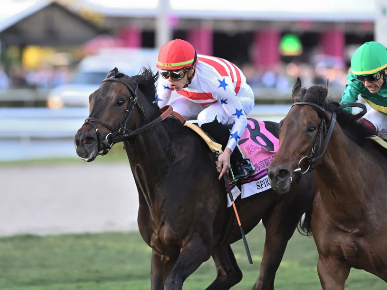 The turf course at Gulfstream Park on Pegasus World Cup day, an engagement in the season calendar of The Mansa Court