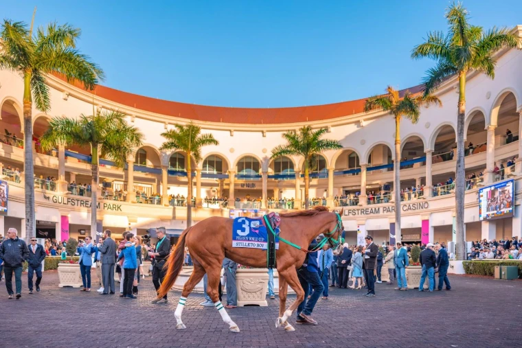 Horses led in the walking ring before the Pegasus World Cup at Gulfstream Park, an engagement in the season calendar of The Mansa Court