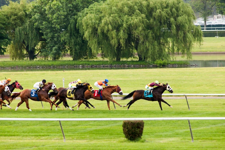 A field of thoroughbreds races along the turf course past weeping willows and the infield lake on a green summer afternoon (2012). Belmont Park, Elmont, Long Island, New York, shown for The Racing Party in the season calendar of The Mansa Court