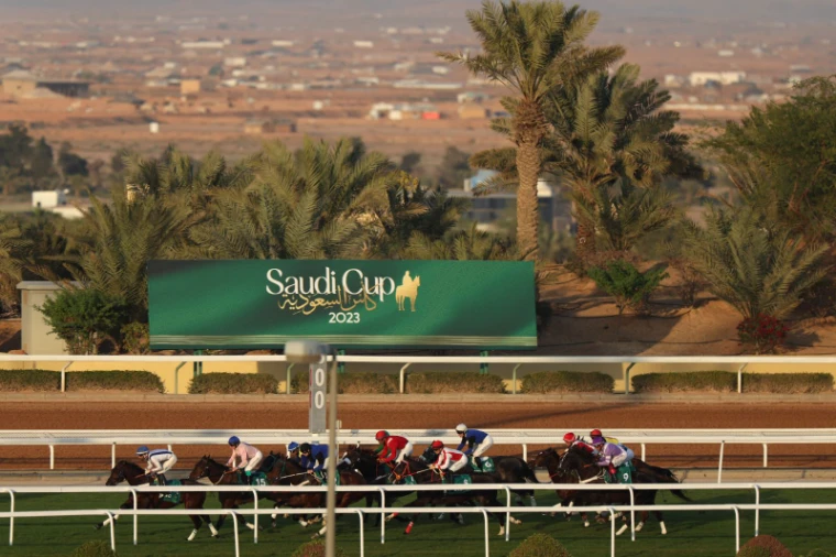 The field strung out along the turf course below date palms and the Riyadh plain at The Saudi Cup, an engagement in the season calendar of The Mansa Court