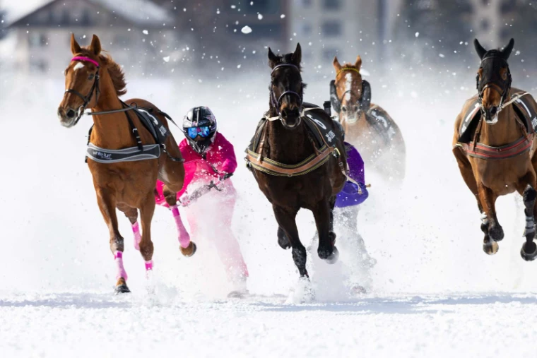 Riderless horses drawing skiers at speed in the skijoring race at White Turf, St. Moritz, an engagement in the season calendar of The Mansa Court